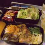 What Airplane Food Looks Like on 22 Different Airlines Around the World_5e0b4b13f12aa.jpeg