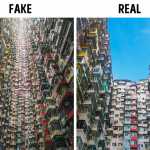 10+ Real Stories Behind Viral Photos_5e162cb632482.jpeg