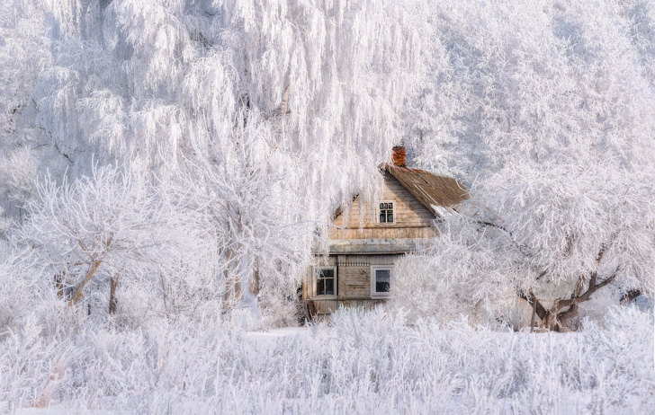 15+ Pictures That Capture the Magic of Winter Like a Scene From a Frozen Fairyland