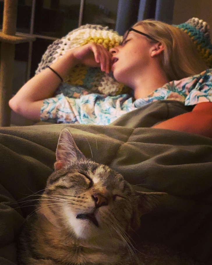 20 Photos That Prove Pets Are Becoming More and More Like Their Owners Every Day