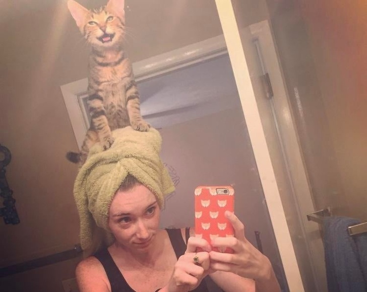 20+ Shameless Cats Who Know Who’s the Boss in the House (and It’s Not the Human)