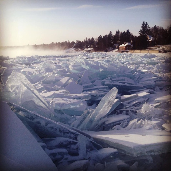20+ Shots That Prove Winter’s Eventually Going to Sneak Into Everyone’s Life