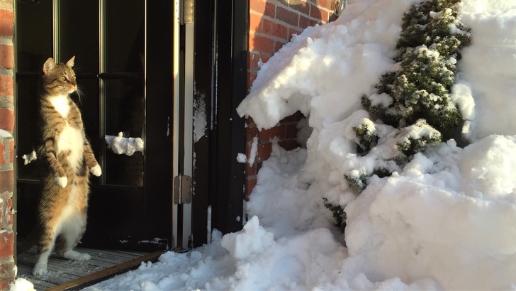 20+ Shots That Prove Winter’s Eventually Going to Sneak Into Everyone’s Life