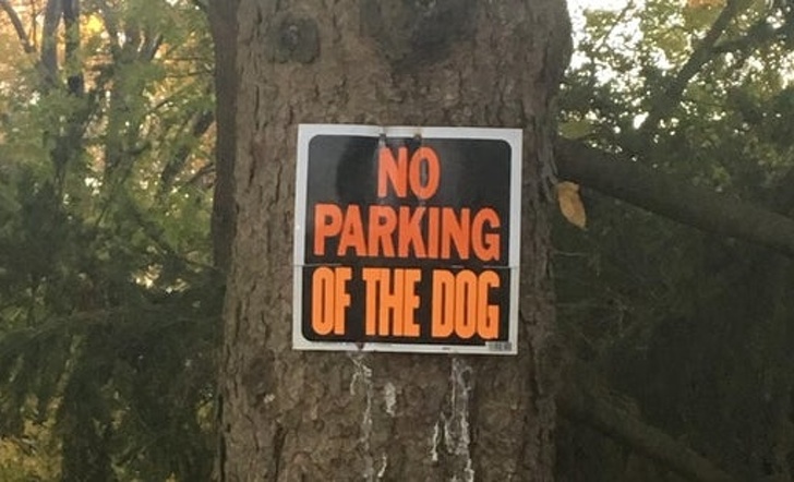 25 Public Signs That Rocked the World With Their Jokes