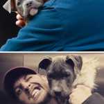 7 Celebrities Who Fell in Love With Their Animal Co-Stars So Much They Refused to Be Separated_5e1c924e16b7c.jpeg