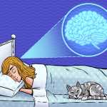 A Lack of Sleep May Cause the Brain to Eat Itself, According to a Study_5e29b3ee45d52.jpeg