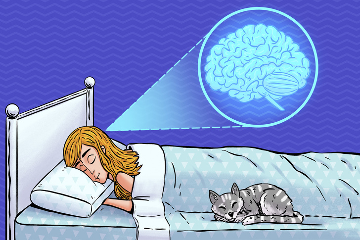 A Lack of Sleep May Cause the Brain to Eat Itself, According to a Study