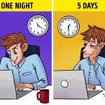 A Lack of Sleep May Cause the Brain to Eat Itself, According to a Study_5e29b3f0e8157.jpeg