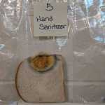 A Teacher Did an Experiment to Show the Power of Handwashing, and You Can’t Stay Unimpressed_5e30872f430d4.jpeg