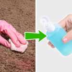 How to Remove 10 Types of Stains in a Flash_5e16300970068.jpeg