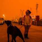 What’s Happening in Australia and Who Is Saving Humans and Animals from Bushfires Right Now_5e22120747ec3.jpeg
