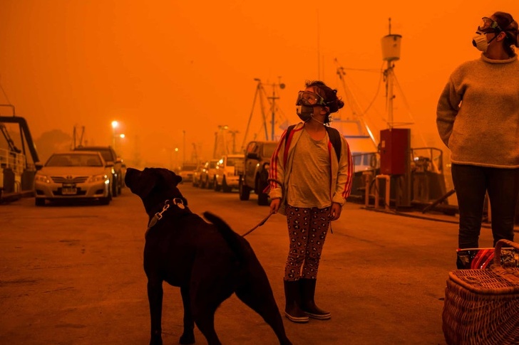 What’s Happening in Australia and Who Is Saving Humans and Animals from Bushfires Right Now