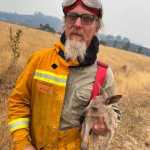 What’s Happening in Australia and Who Is Saving Humans and Animals from Bushfires Right Now_5e22120fccba9.jpeg