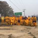What’s Happening in Australia and Who Is Saving Humans and Animals from Bushfires Right Now_5e2212149b9db.jpeg