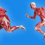Which Parts of Your Body Will Get More Fit Depending on the Kind of Exercise You Choose_5e3088f5110e1.jpeg