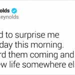 20 Times Ryan Reynolds’ Bright Personality Lit Up Everyone’s Day on Twitter_5e90638510ea2.jpeg