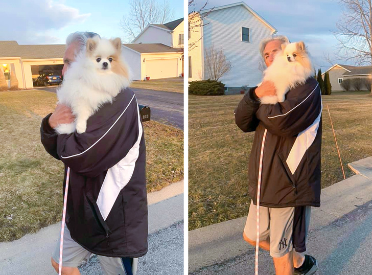 20 Times When Men Didn’t Want to Have Pets but Then Couldn’t Live Without Them