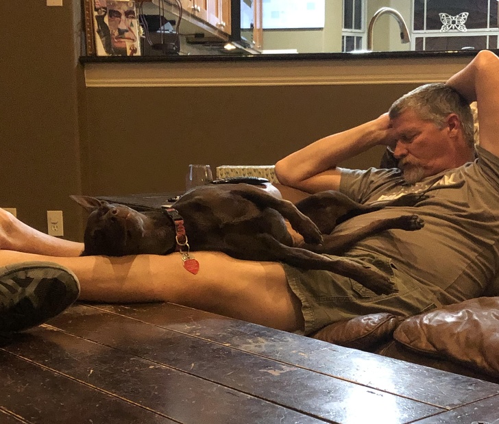 20 Times When Men Didn’t Want to Have Pets but Then Couldn’t Live Without Them