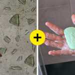Why Hiding Soap Bars in Your Shoes Can Save Your Day and 8 More Precious Soap Life Hacks_5e9067e077363.jpeg