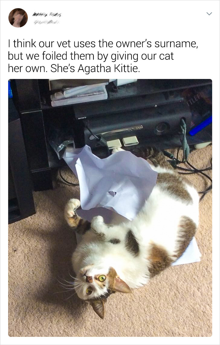 20+ Twitter Users Shared Amusing Stories About Their Pets’ Names