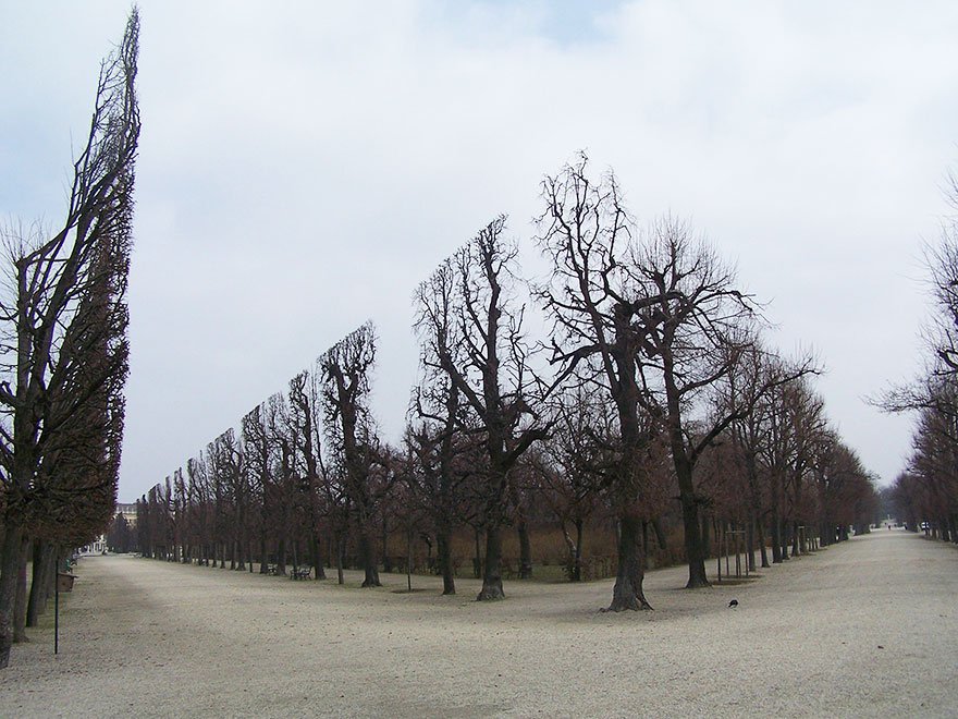 Schonbrunn Park